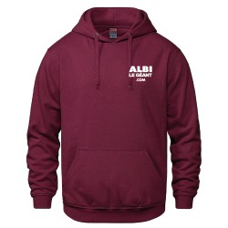 Vault-Adult Hooded Sweatshirt