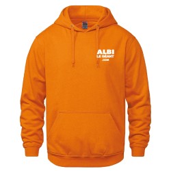 Vault-Adult Hooded Sweatshirt