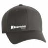 FlexFit cap