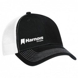 Cap with net