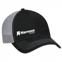 Cap with net