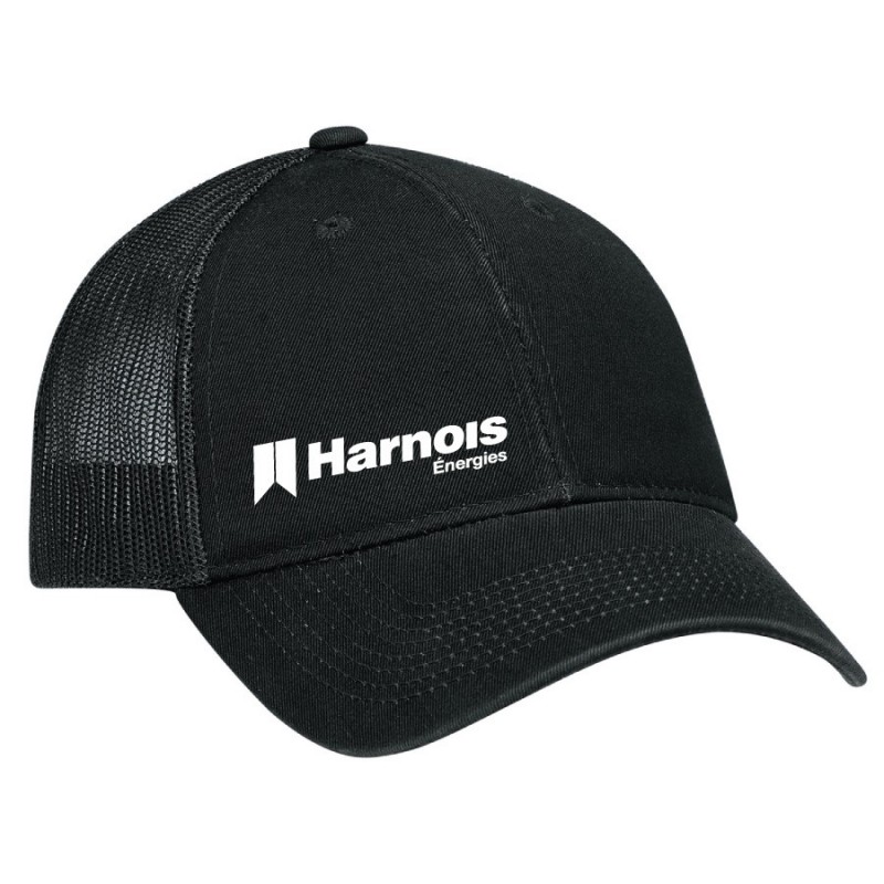 Cap with net