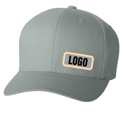 FlexFit Cap