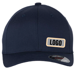 FlexFit Cap